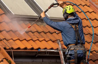 Démoussage et hydrofuge de toiture au Pouzin